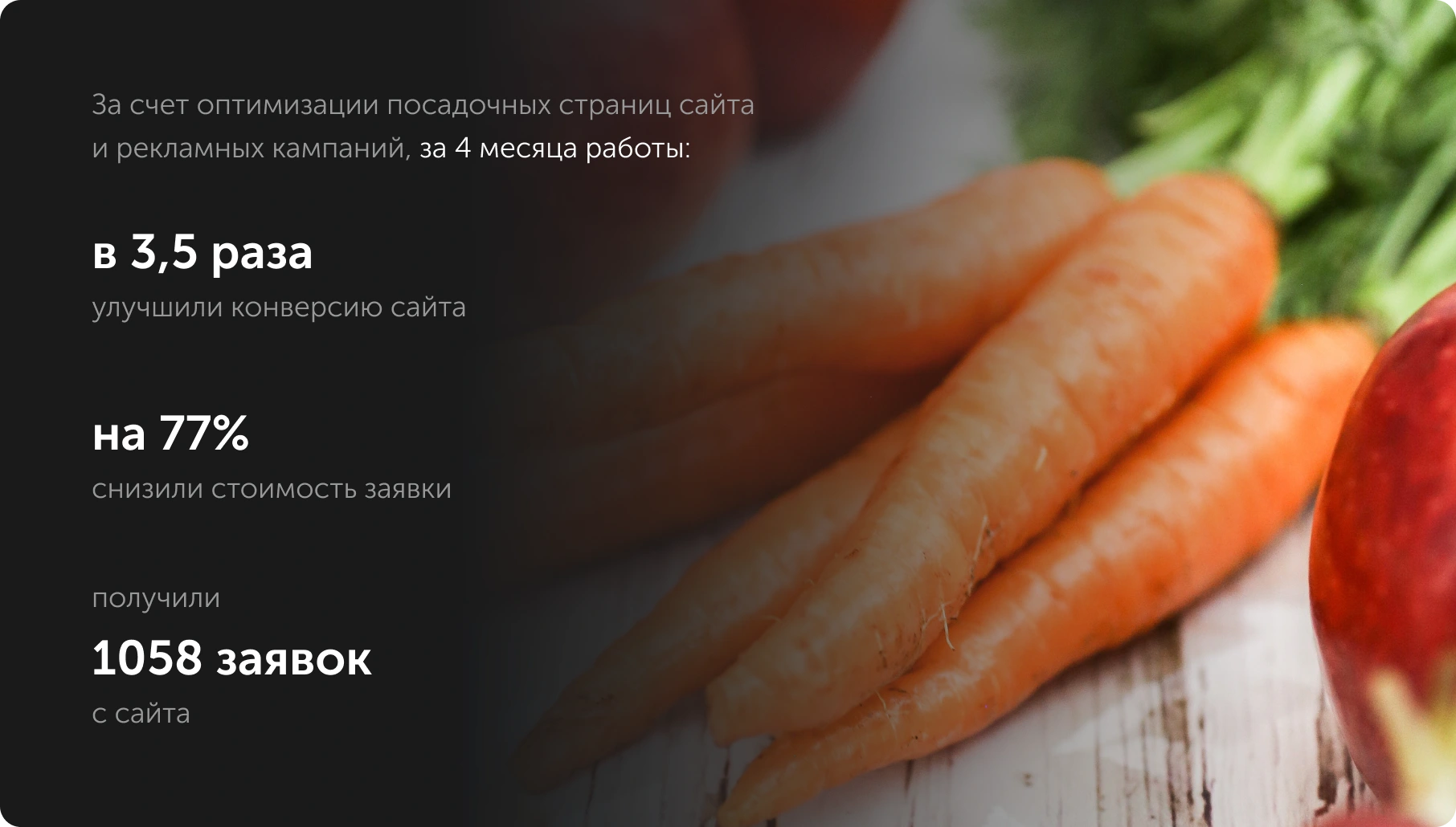 Продвижение интернет-магазина Салатница