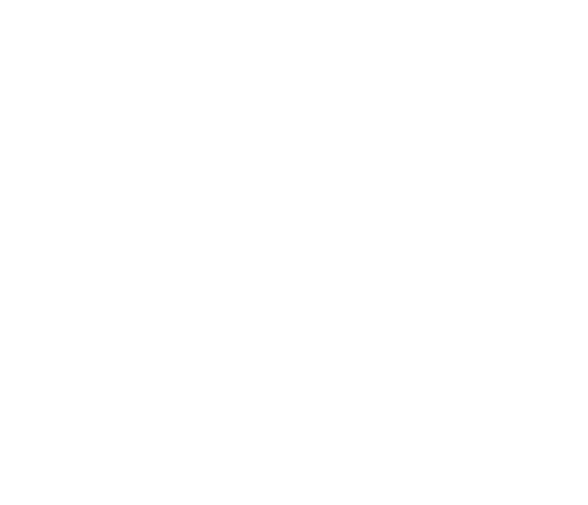 Аналитик