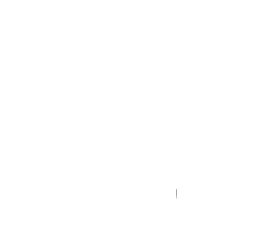 Дизайнер